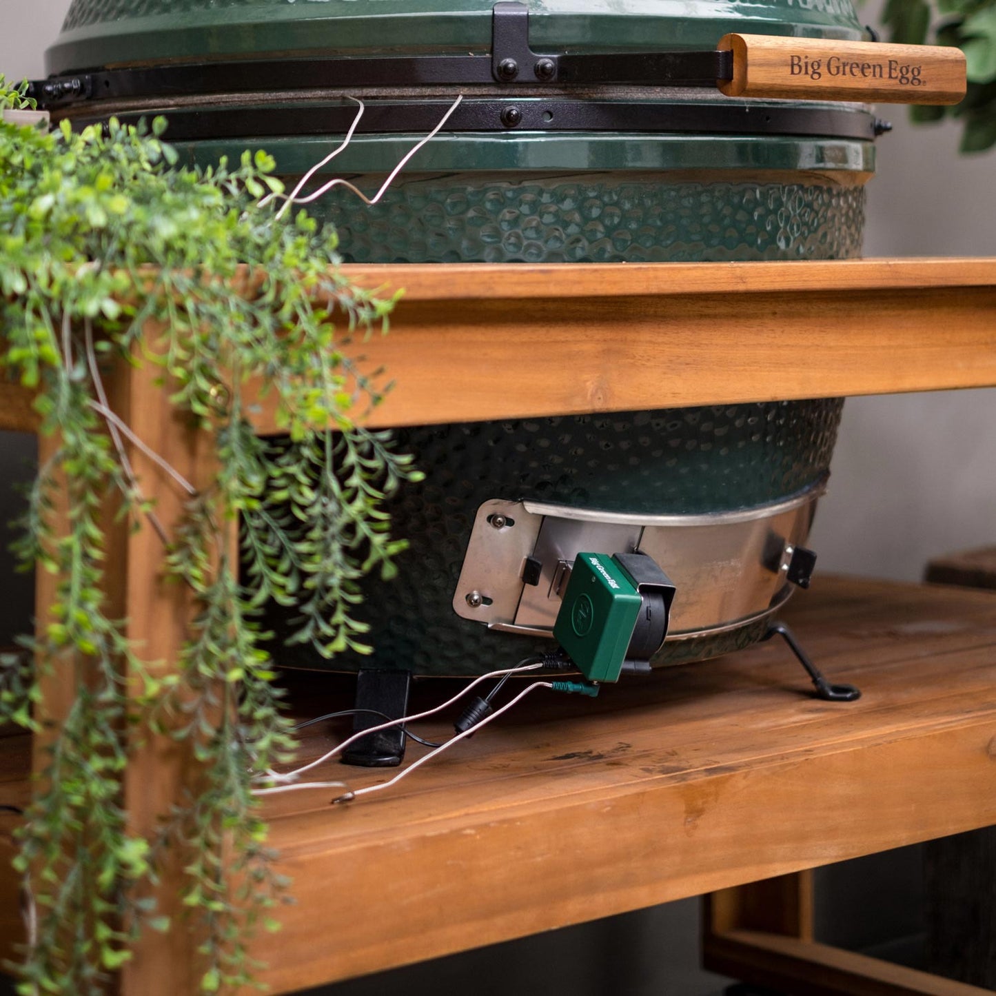 EGG Genius Temperature Controller