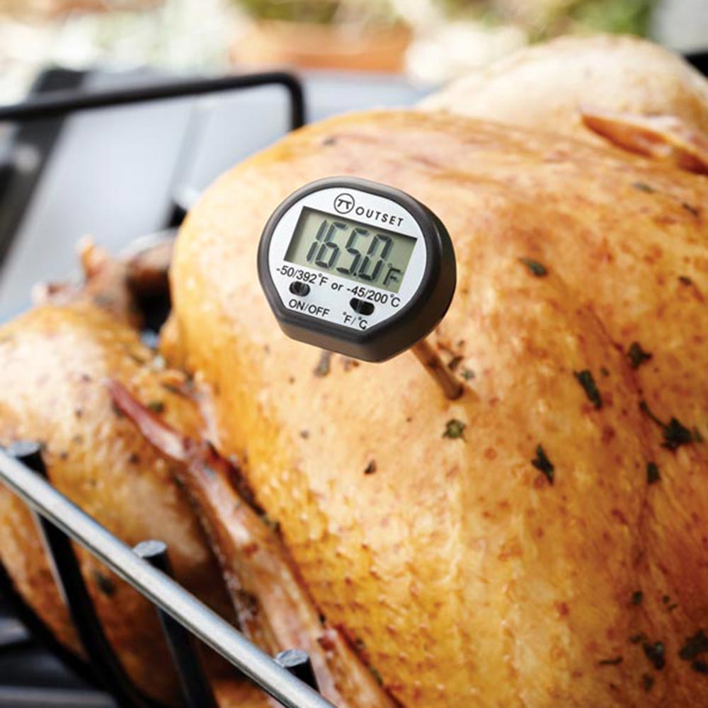 Outset Instant-Read Digital Thermometer F800