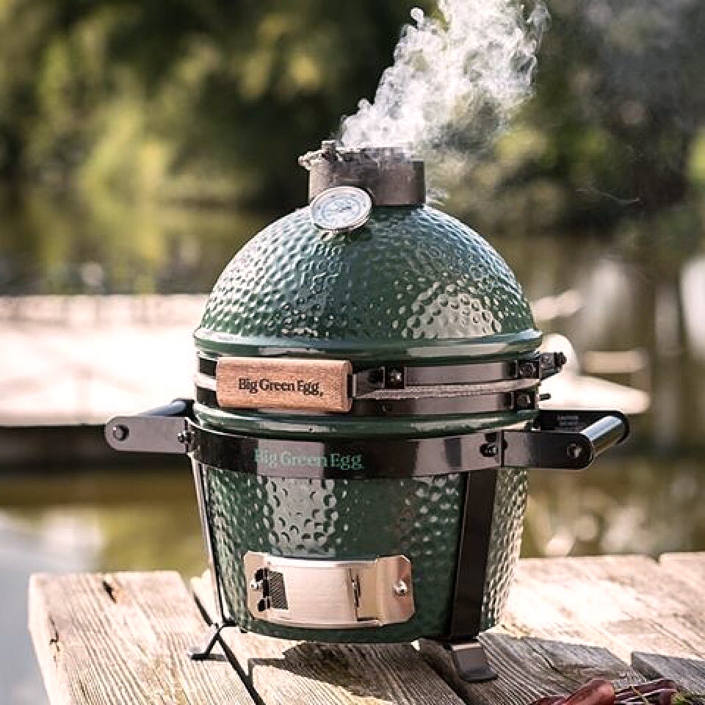 Mini Big Green Egg