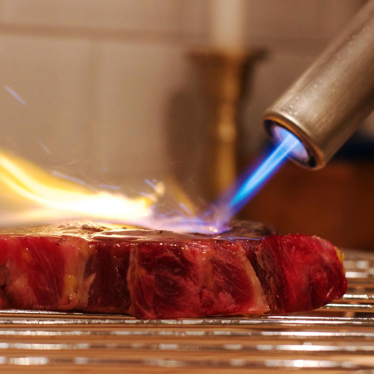 BISON 420 Airlighter BA002
