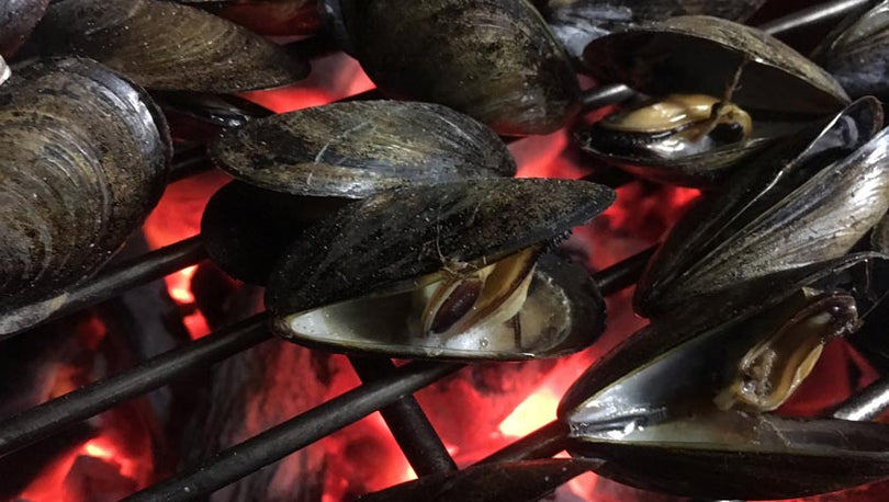 GRILLED MUSSELS with GARLIC HERB BUTTER