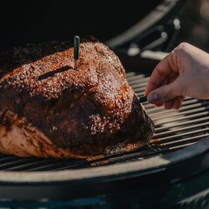 Predictive Thermometer - Combustion Inc.