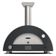 Alfa Moderno 2 Pizze Gas Pizza Oven (LP or NG Fuel)