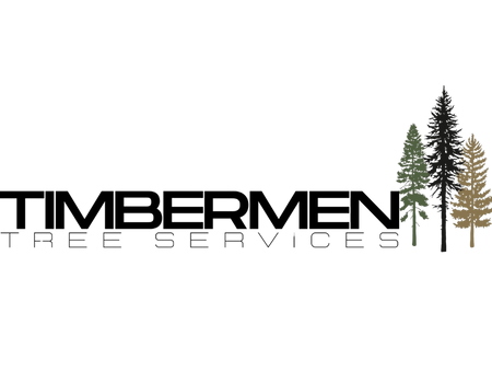 Timbermen Kiln Dried Firewood Bundles